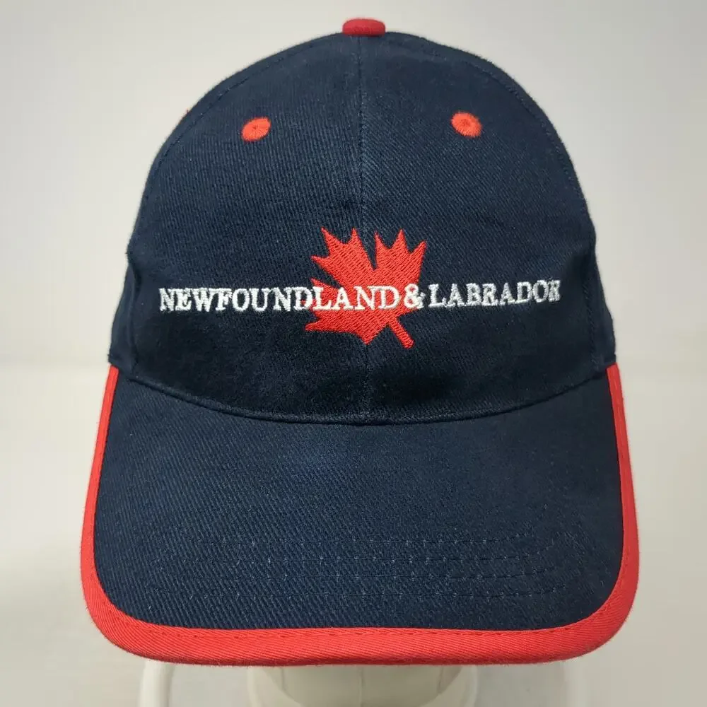 Unbranded blue newfoundland